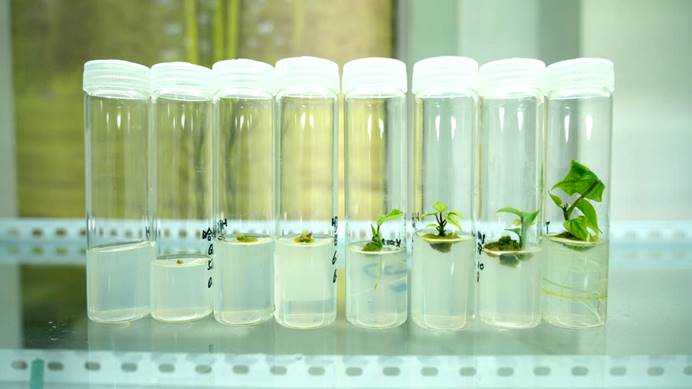 й8846˹(ɷ)޹˾-ٷվ