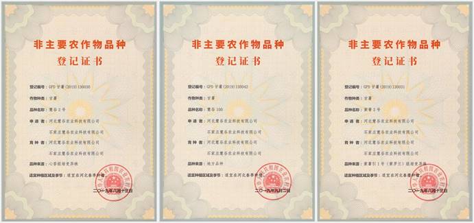 й8846˹(ɷ)޹˾-ٷվ