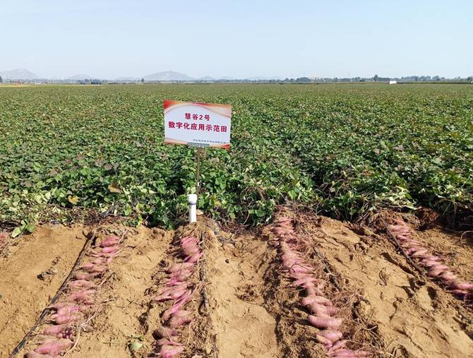 й8846˹(ɷ)޹˾-ٷվ