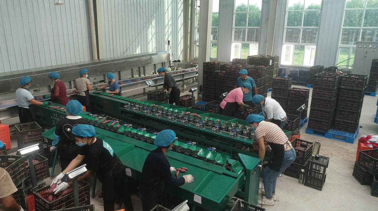 й8846˹(ɷ)޹˾-ٷվ