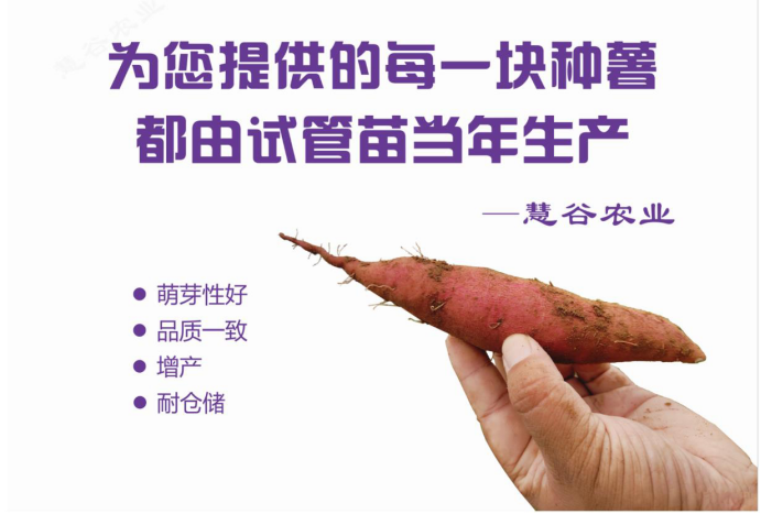 й8846˹(ɷ)޹˾-ٷվ