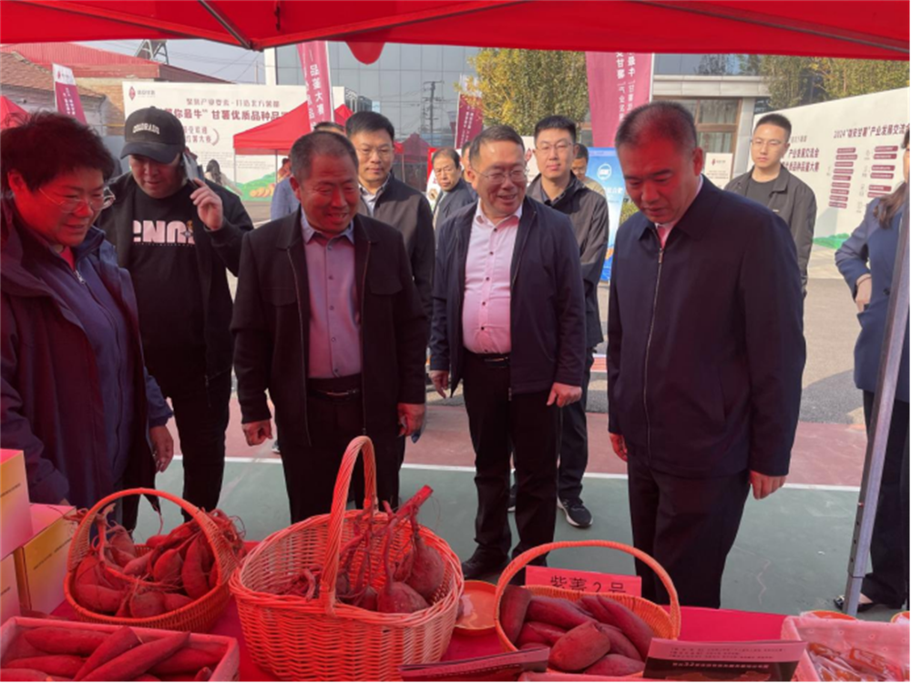 й8846˹(ɷ)޹˾-ٷվ