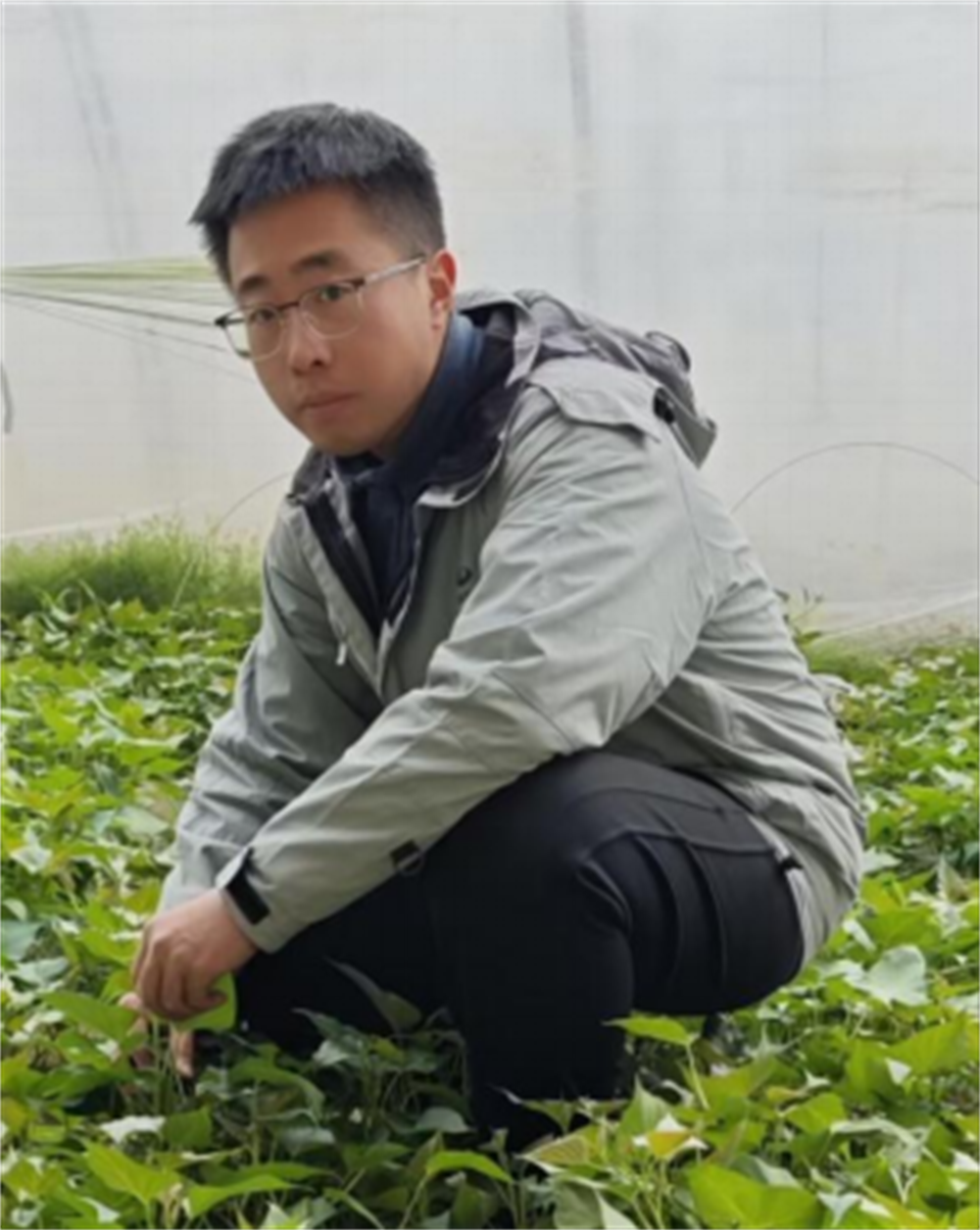 й8846˹(ɷ)޹˾-ٷվ