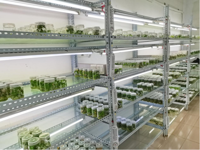 й8846˹(ɷ)޹˾-ٷվ