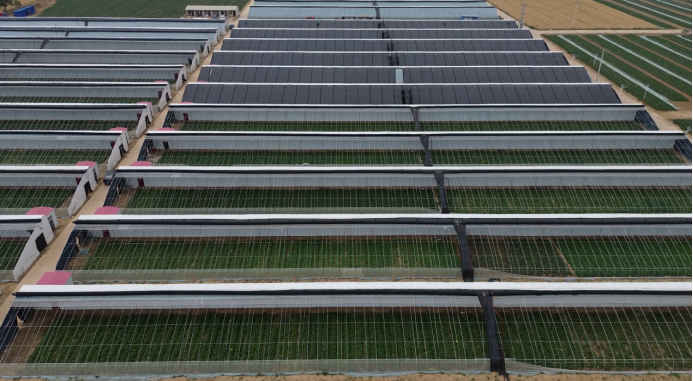 й8846˹(ɷ)޹˾-ٷվ