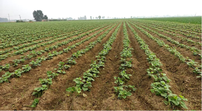 й8846˹(ɷ)޹˾-ٷվ