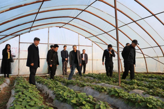 й8846˹(ɷ)޹˾-ٷվ