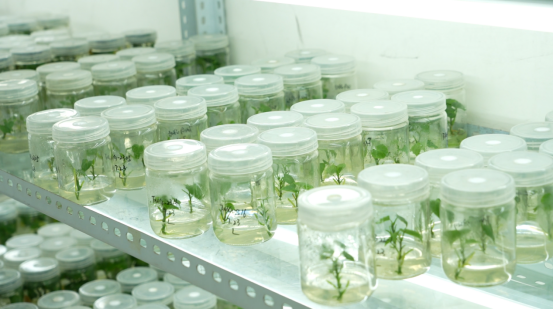 й8846˹(ɷ)޹˾-ٷվ