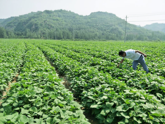 й8846˹(ɷ)޹˾-ٷվ