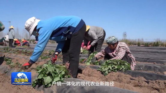 й8846˹(ɷ)޹˾-ٷվ