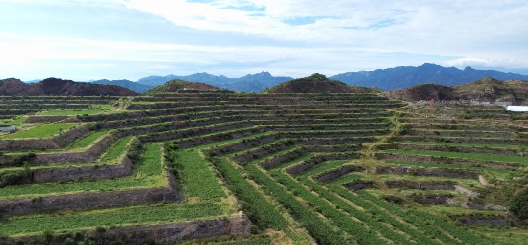 й8846˹(ɷ)޹˾-ٷվ