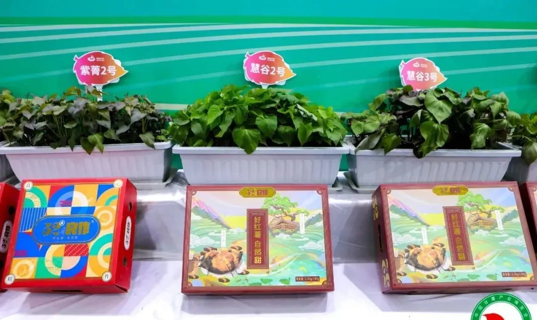 й8846˹(ɷ)޹˾-ٷվ