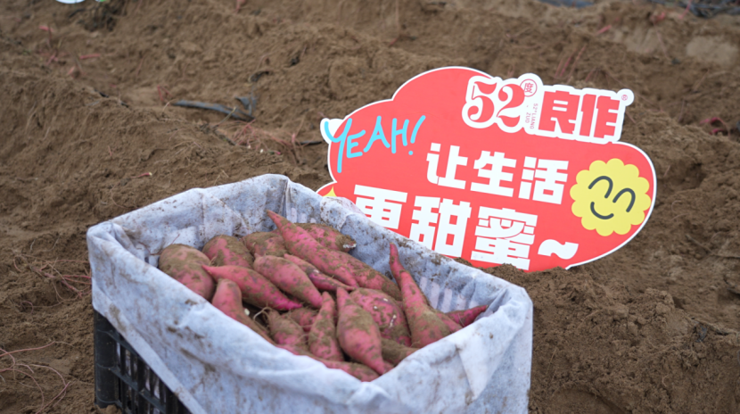 й8846˹(ɷ)޹˾-ٷվ