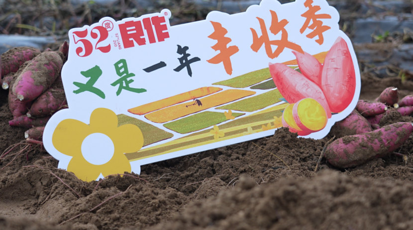 й8846˹(ɷ)޹˾-ٷվ