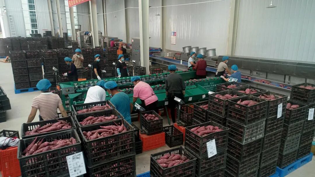 й8846˹(ɷ)޹˾-ٷվ