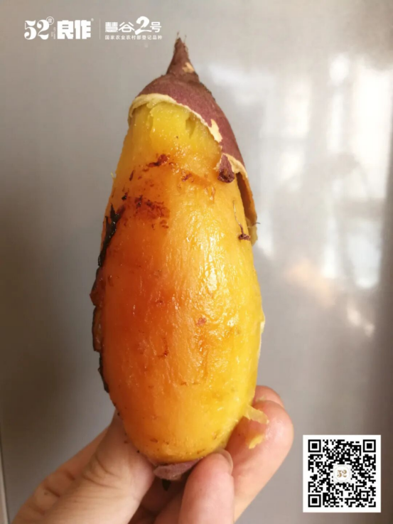 й8846˹(ɷ)޹˾-ٷվ