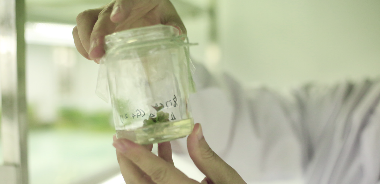 й8846˹(ɷ)޹˾-ٷվ