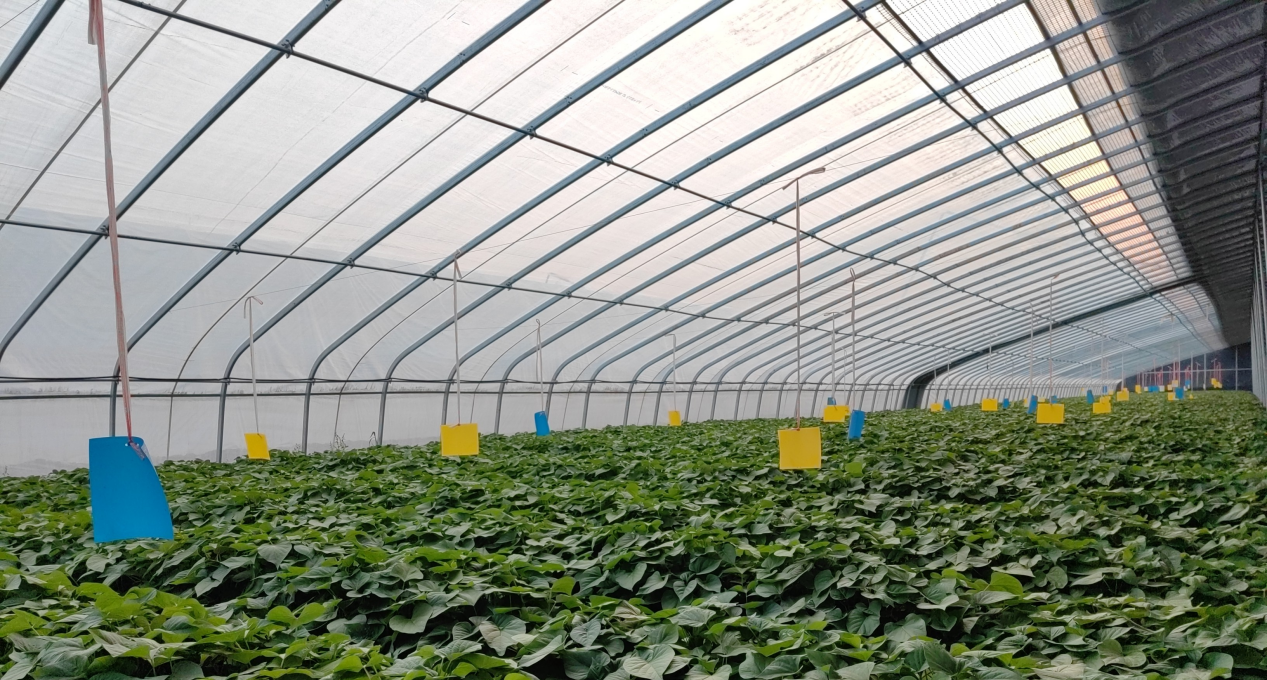 й8846˹(ɷ)޹˾-ٷվ