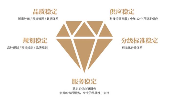 й8846˹(ɷ)޹˾-ٷվ