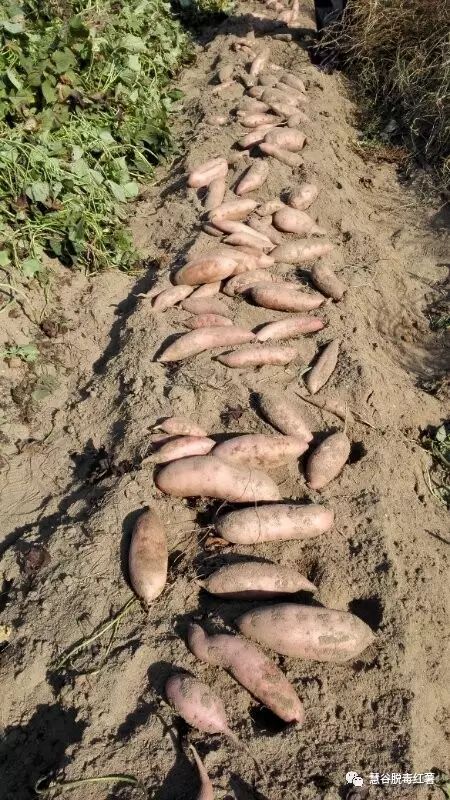 й8846˹(ɷ)޹˾-ٷվ