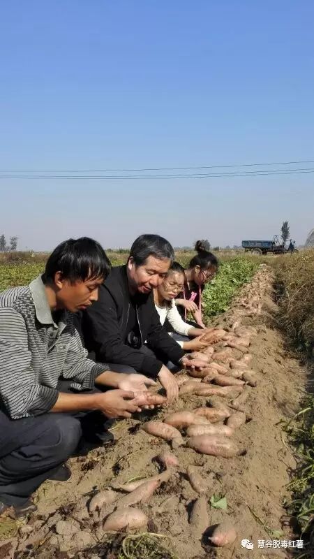 й8846˹(ɷ)޹˾-ٷվ